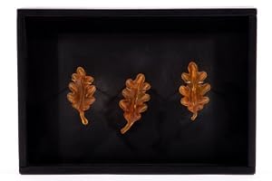 Three Oak Leaves