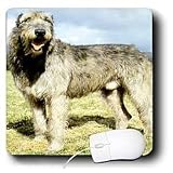 Dogs Irish Wolfhound - Irish Wolfhound - Mouse Pads