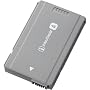 Sony NP-FA70 InfoLithium A Series Rechargeable Battery Pack for DCR-HC90, DCR-DVD7 & DCR-PC1000 Camcorders