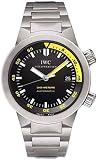 IWC Men's Aquatimer Automatic 2000 Series Watch
