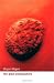 The Great Philosophers: An Introduction to Western Philosophy
