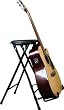 Farley's StagePlayer II - Guitarist Stool and Stand with Footrest