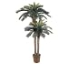 6' & 4' Sago Palm Double Potted Silk Tree