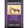 Apache Odyssey: A Journey between Two Worlds