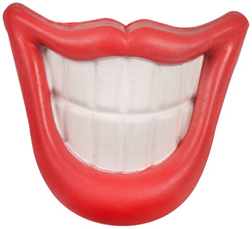 Protocol Doggy Smile Chew Toy