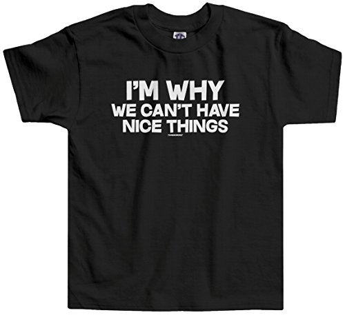 Threadrock Little Boys' I'm Why We Can't Have Nice Things Toddler T-Shirt