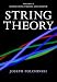 String Theory: Volume 2 (Cambridge Monographs on Mathematical Physics)