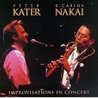 Improvisations in Concert by Peter Kater and R. Carlos Nakai