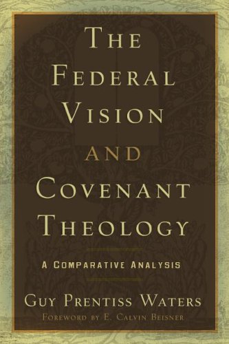 The Federal Vision and Covenant Theology: A Comparative Analysis under Fundamentalism in The Books Store