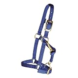 MINIATURE NYLON HALTER - AVERAGE SIZE