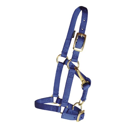 MINIATURE NYLON HALTER - AVERAGE SIZE