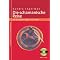 Fern�stliche Spiritualit�t + Schamanismus