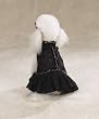BLACK - MEDIUM - Lace Flamenco Dog Dress BLACK - MEDIUM - Lace Flamenco Dog Dress