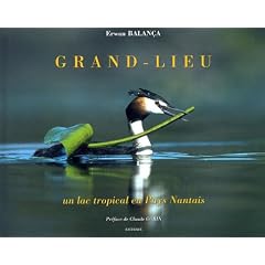 Grand-Lieu : Un lac tropical en Pays Nantais