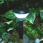 Homebrite 30817 Solar Powered Blanca Garden Lights, Cool White