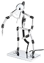 Holmes HL1261H Robot Desk Lamp