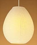 National ������ [�u�����d���F] HED1137E