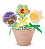 Flower Chocolates, set of 3