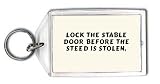 Review SHOPZEUS  / Lock the stable door before the steed is stolen. Keychain