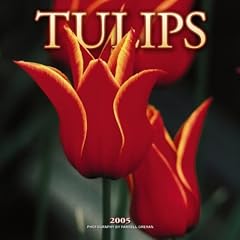 Tulips 2005 Calendar