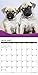 Just Pug Puppies 2016 Calendar