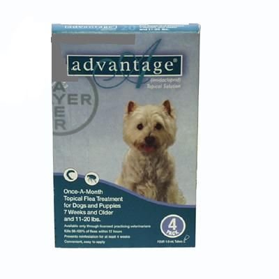 Advantage 4 Pk. Dog Teal 11-21 Lbs.