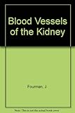 The blood vessels of the kidney