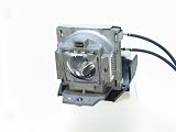 Genuine Corporate Projection RLC-035 Lamp & Housing for Viewsonic Projectors - 180 Day Warranty!!