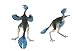 Carnegie Collection- Caudipteryx