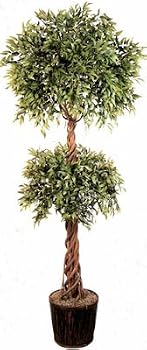6' Double Ball Ruscus Topiary Tree
