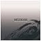 Geniale Platten 2004