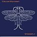 Stonefly