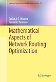 Mathematical aspects of network routing optimization