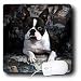 terrier30 - Dogs Boston Terrier Boston Terrier Philippe Mouse Pads
