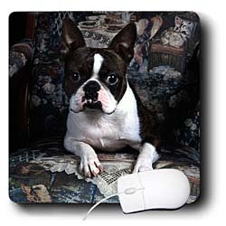 image link -  - B001LDF1AY