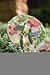 Hummingbirds Stepping Stone