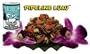 TIKI Dog Canned Food for Dogs, Pipeline Ahi and Rice Recipe (Pack of 12 14-Ounce Cans)