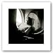 James Dean, New York, 1954 by Roy Schatt 5.75"x5.75" Art Print Poster