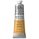 Winsor &amp; Newton Winton 37-Milliliter Oil Paint, Cadmium Yellow Medium