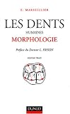 Les Dents humaines : Morphologie