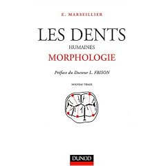 Les Dents humaines : Morphologie