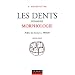 Les Dents humaines : Morphologie