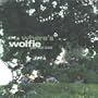 Where's Wolfie