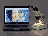 AmScope