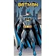 Batman In The City Beach Towel - Batman Towel  ( Bath / Beach Towel )