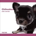 Chihuahua 2009 Calendar (Artlist Collection the Dog)