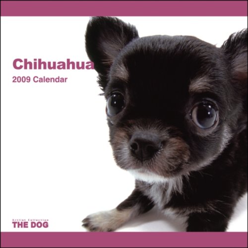 Chihuahua 2009 Calendar (Artlist Collection the Dog)