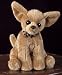   - Chico Plush Chihuahua Dog Stuffed Animal Toy with Barking Sounds