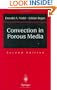 Convection in Porous Media