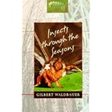 Insects through the Seasons